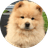 CHOW