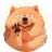 CHOW