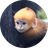 Chuqi