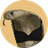 COBRA