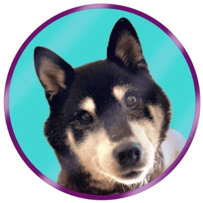 COCORO logo