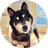 Cocoro