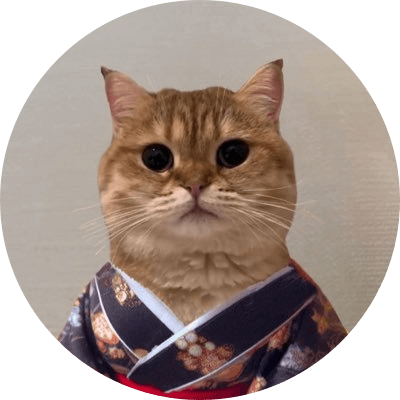 cok the cat logo