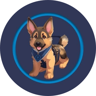 Commander logo