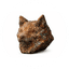 copper inu