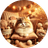 COZYKAT