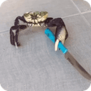 crab with knife
