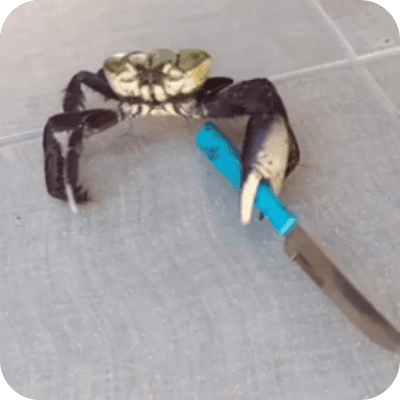 crab with knife logo