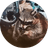 Chewy