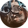 Crackcoon