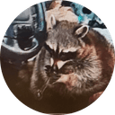 Crackcoon
