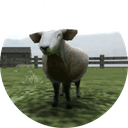 Crazy Cattle 3D