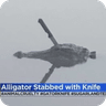 crocw/knife