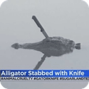 crocw/knife