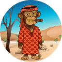 Crypto Sheikh