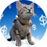 Currency Cat