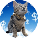 Currency Cat