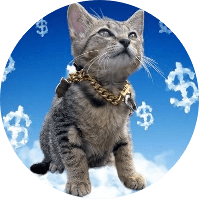 Currency Cat logo