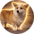 dapang