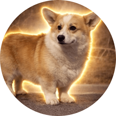 Dà Pàng logo
