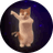 DANCINGCAT