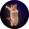 Dancing Cat