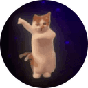 Dancing Cat