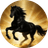 DARK HORSE