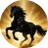 Dark Horse