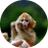darwin