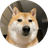 DDDD