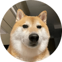 DDDD