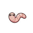 Deep Worm