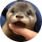 DEGEN