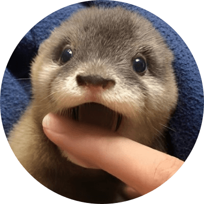 Degen the Otter logo