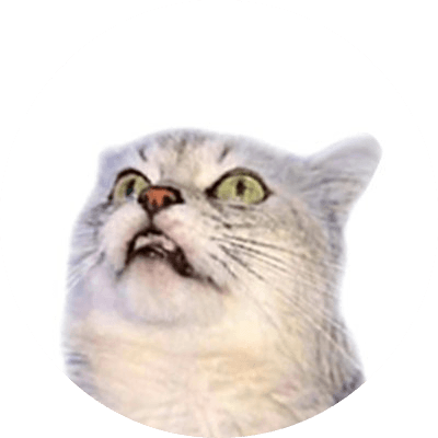 Deksy Barking Cat logo