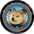 DOGE