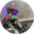 DJCAT