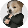 dog wif suit