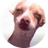 ZAZA