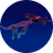 DOGDRAGON