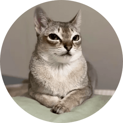 doge cat logo