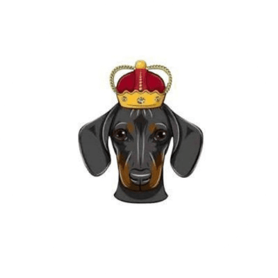 DOGEKING logo