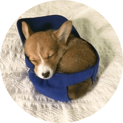 doginhat logo