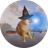 Dogwarts