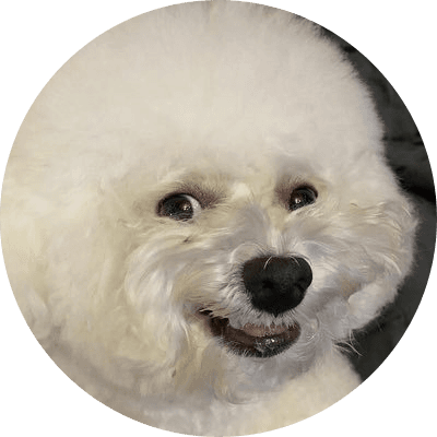 dogwhosmile logo