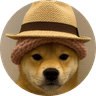 dogwif2hats