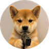 Dogwifgun