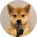 Dogwifgun