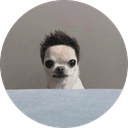 dogwifhair